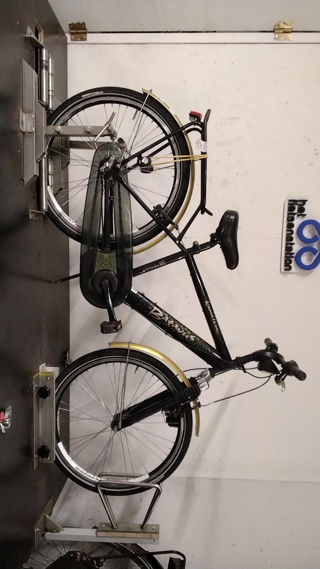 Batavus Kameleon Jongensfiets 37 cm