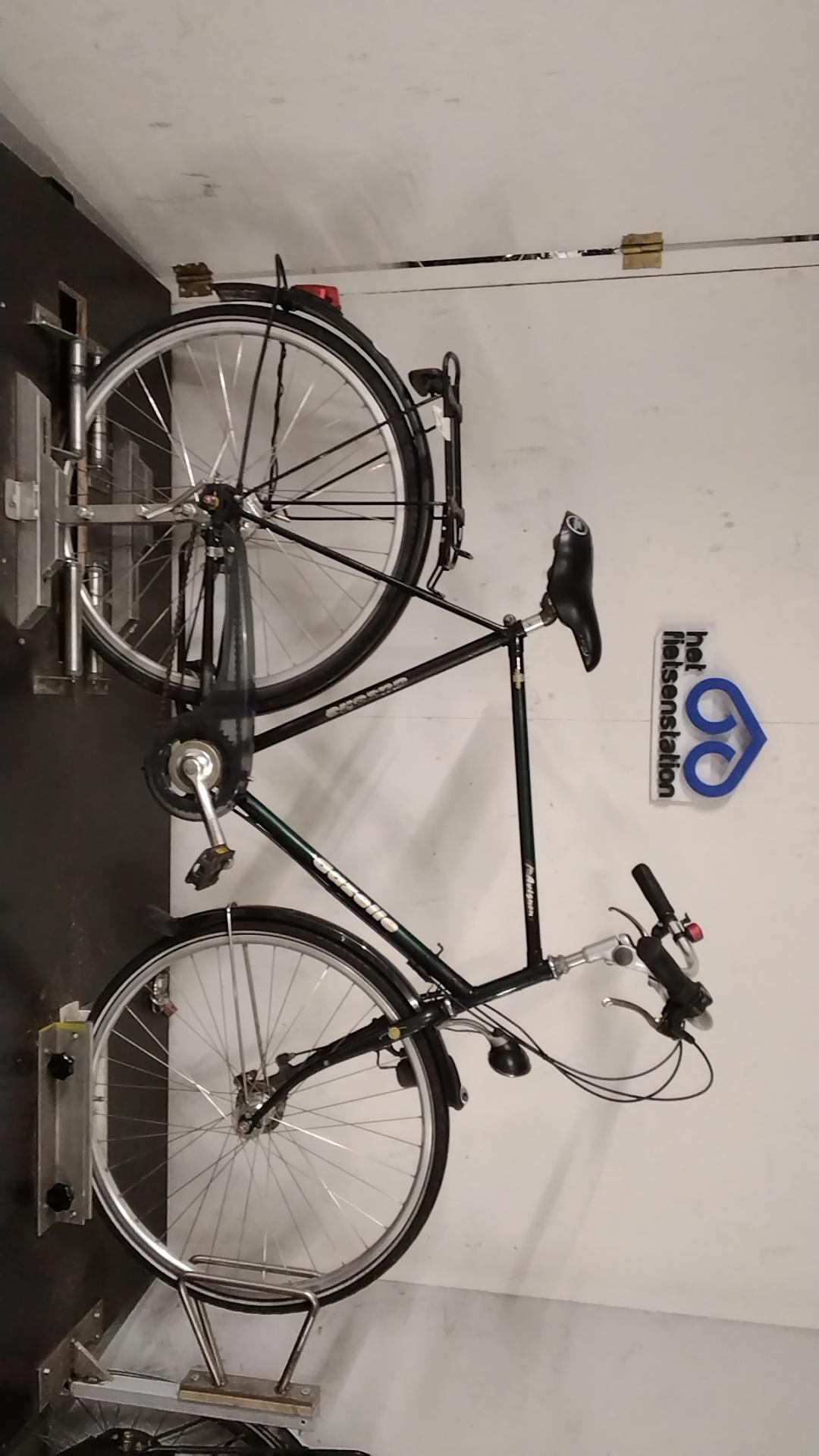 Gazelle Avisnon Herenfiets 48 cm