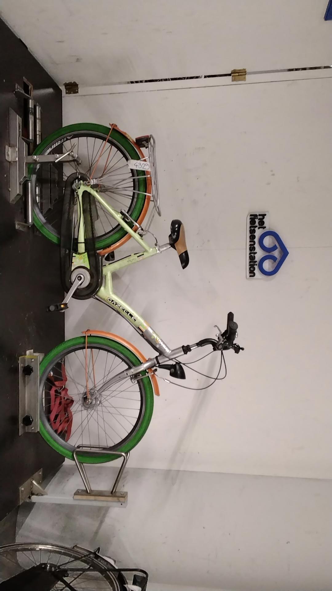 Gazelle Whale Meisjesfiets 39 cm