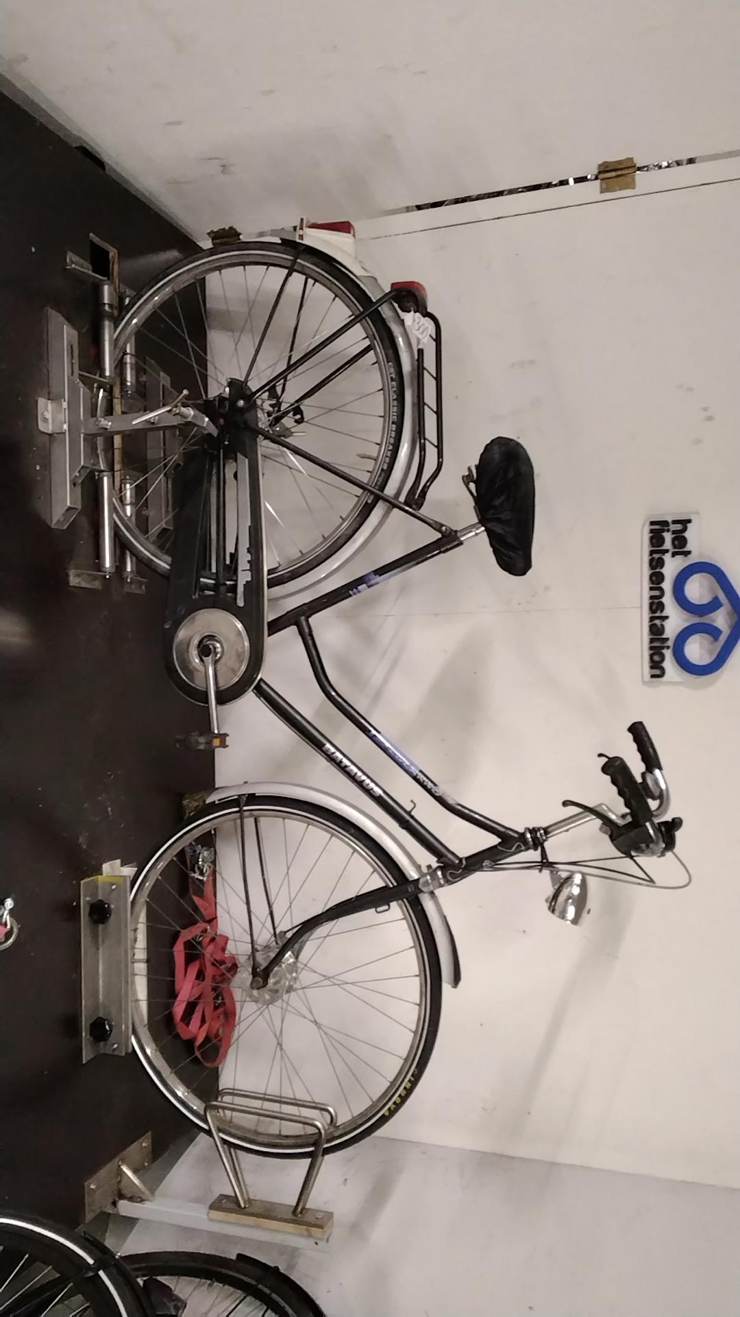 Batavus Locarno Damesfiets 53 cm