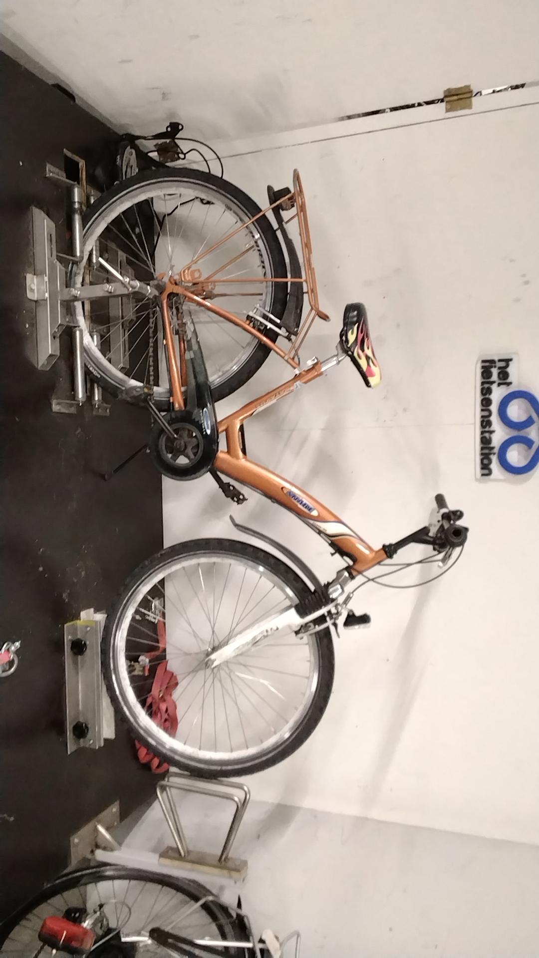 Batavus Snake Jongensfiets 43 cm