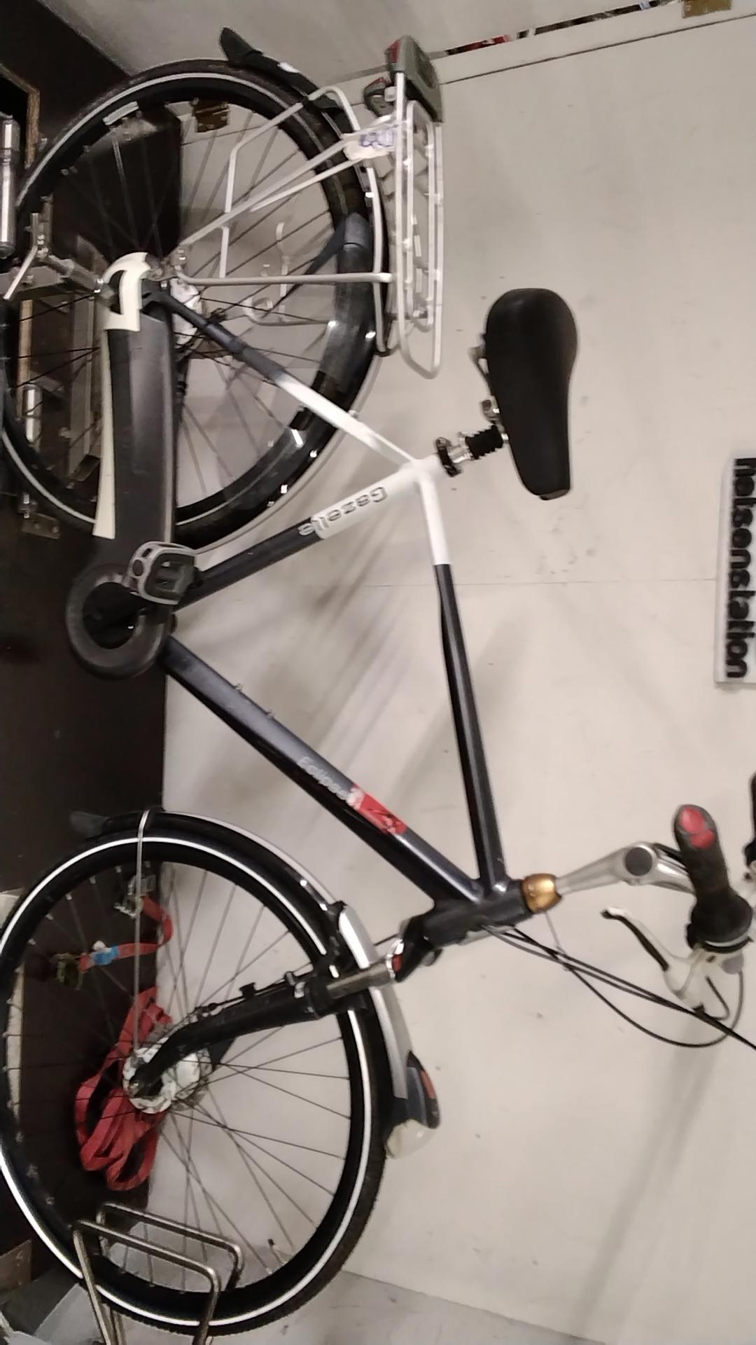 Gazelle Eclipse Herenfiets 53 cm