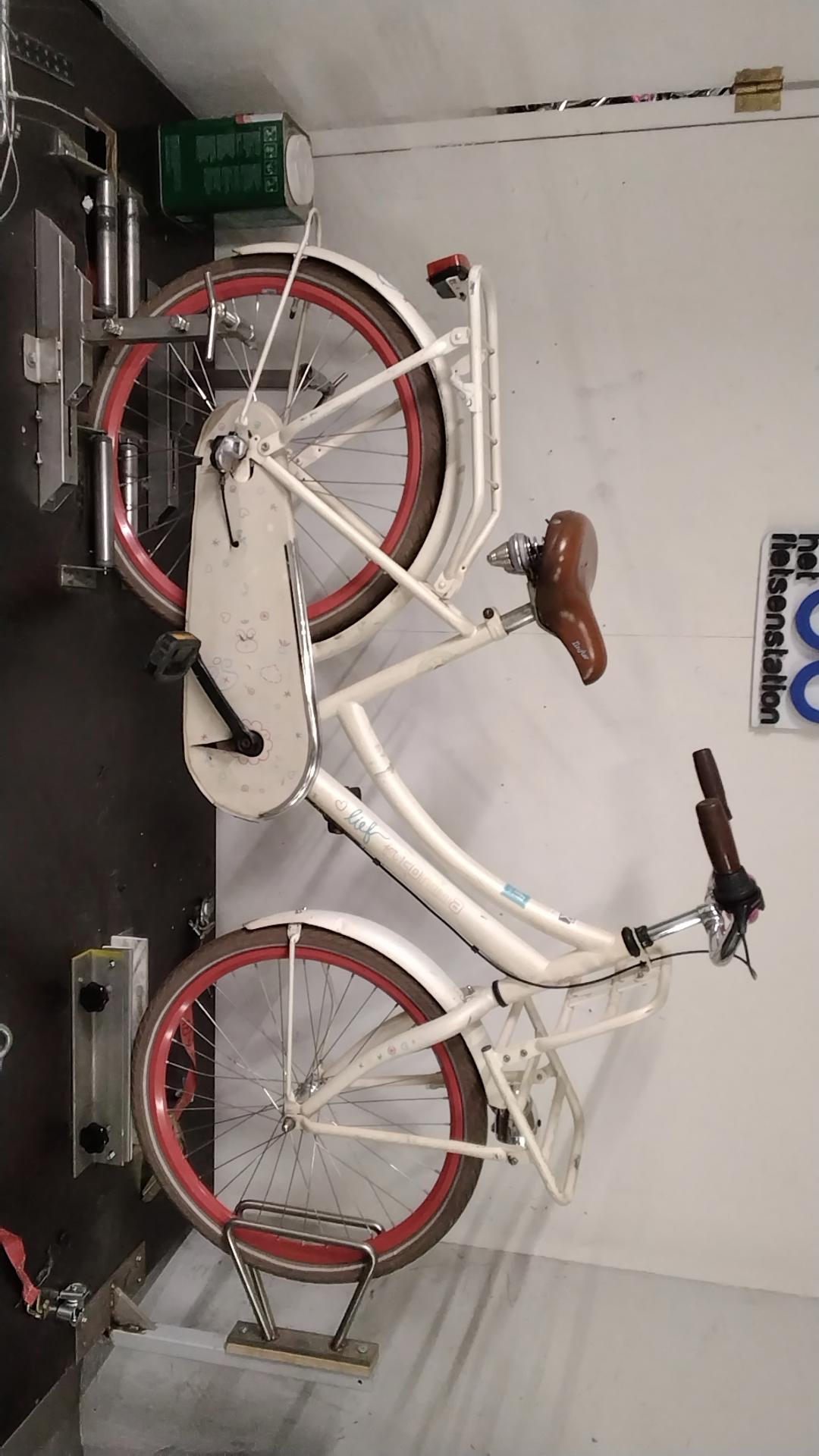 Cortina Lief Meisjesfiets - Transporter