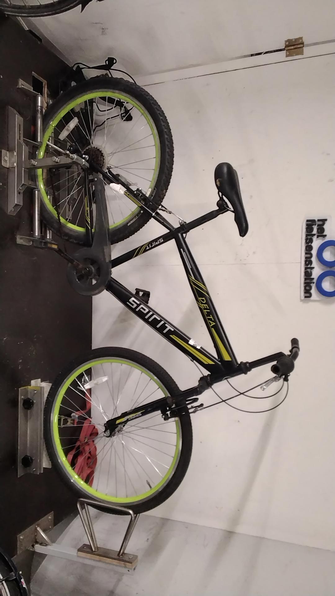 Spirit Delta Mountainbike 43 cm