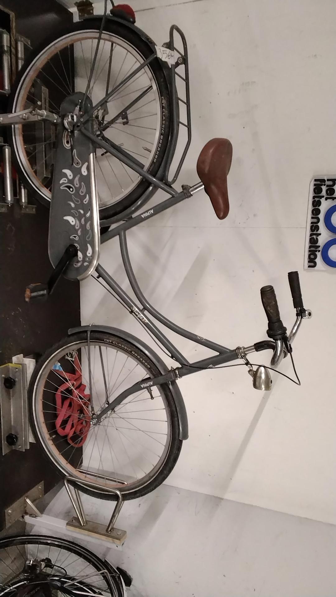 Alpina Tingle Kinderfiets 46 cm