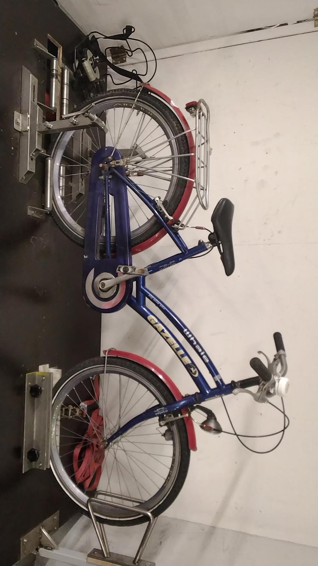 Gazelle Whale Kinderfiets 38 cm