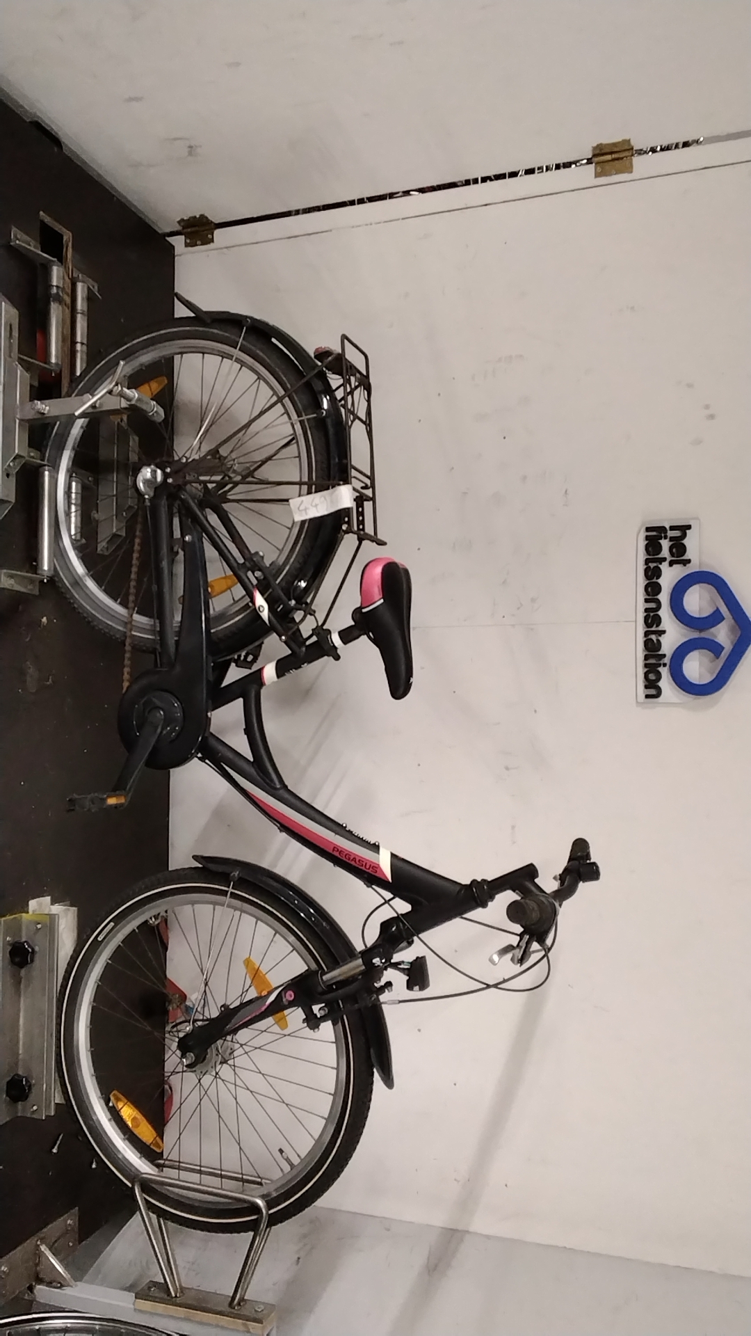 Pegasus Avanti Kinderfiets 33 cm