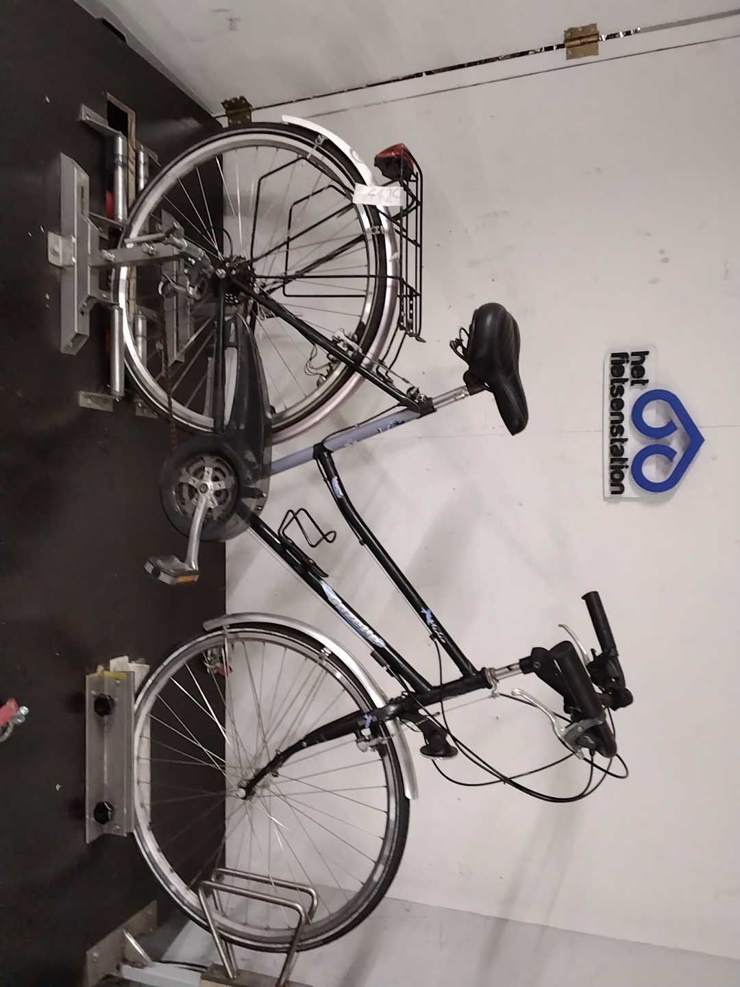 Gazelle Medeo Damesfiets 51 cm