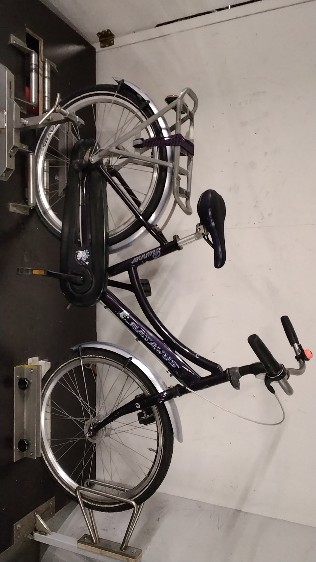 Batavus Runner Meisjesfiets 39 cm