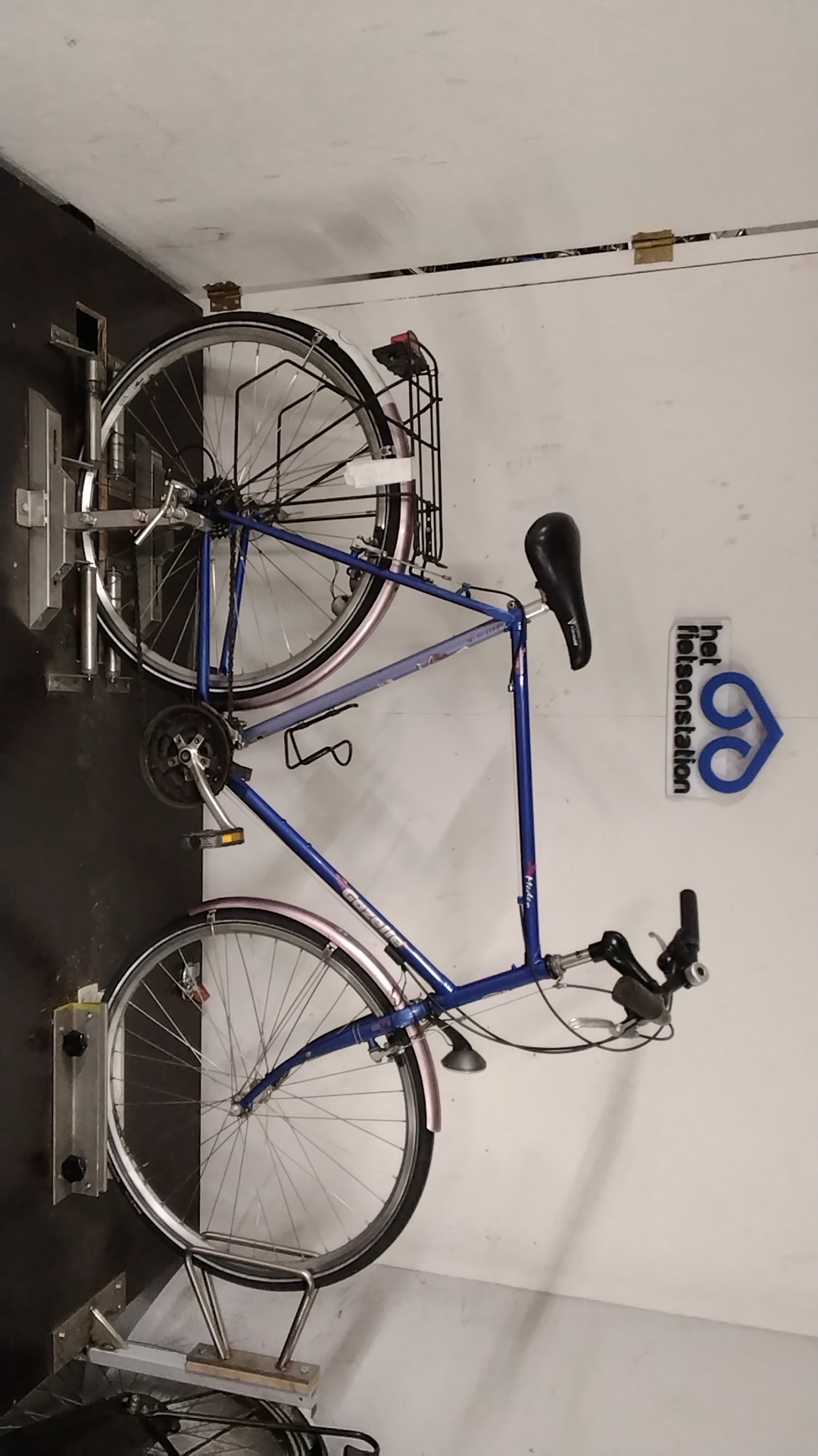 Gazelle Medeo Herenfiets 63 cm